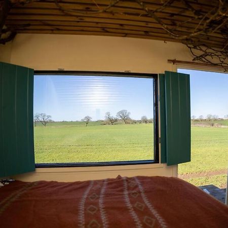 Vila 'Pipistrelle' Remote Off-Grid Micro Cabin Sedgefield Exteriér fotografie