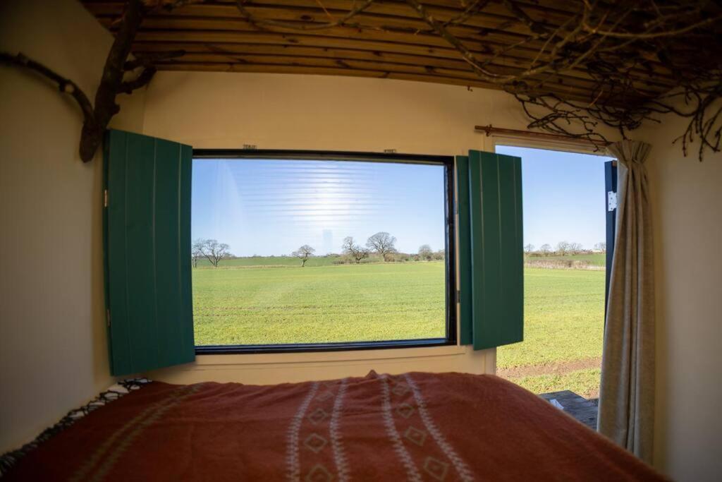 Vila 'Pipistrelle' Remote Off-Grid Micro Cabin Sedgefield Exteriér fotografie