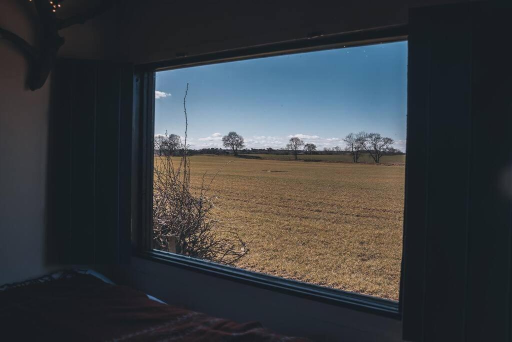 Vila 'Pipistrelle' Remote Off-Grid Micro Cabin Sedgefield Exteriér fotografie