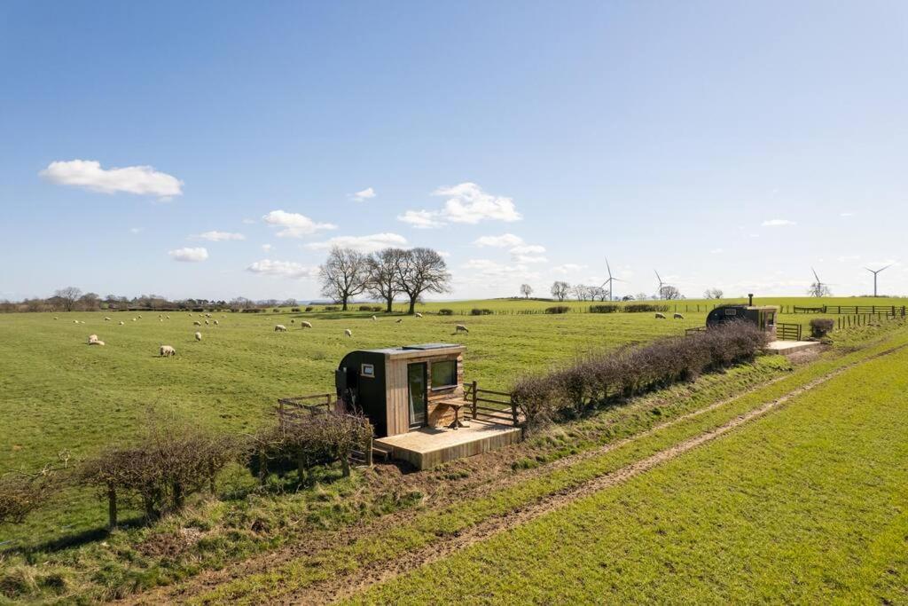 Vila 'Pipistrelle' Remote Off-Grid Micro Cabin Sedgefield Exteriér fotografie