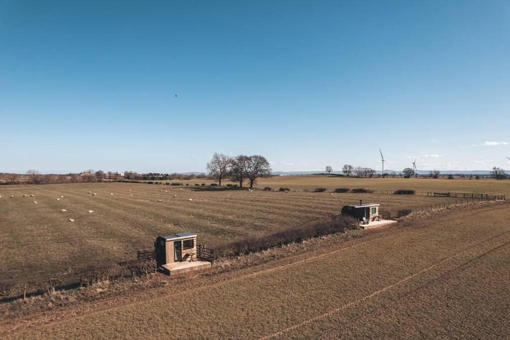 Vila 'Pipistrelle' Remote Off-Grid Micro Cabin Sedgefield Exteriér fotografie